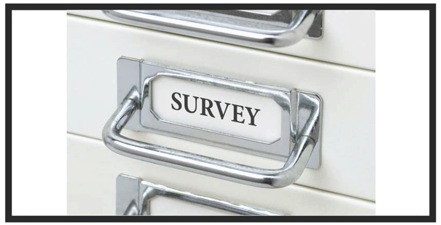 FEB- survey validity questionaire (1)