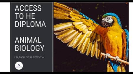 Access to HE Animal Biology