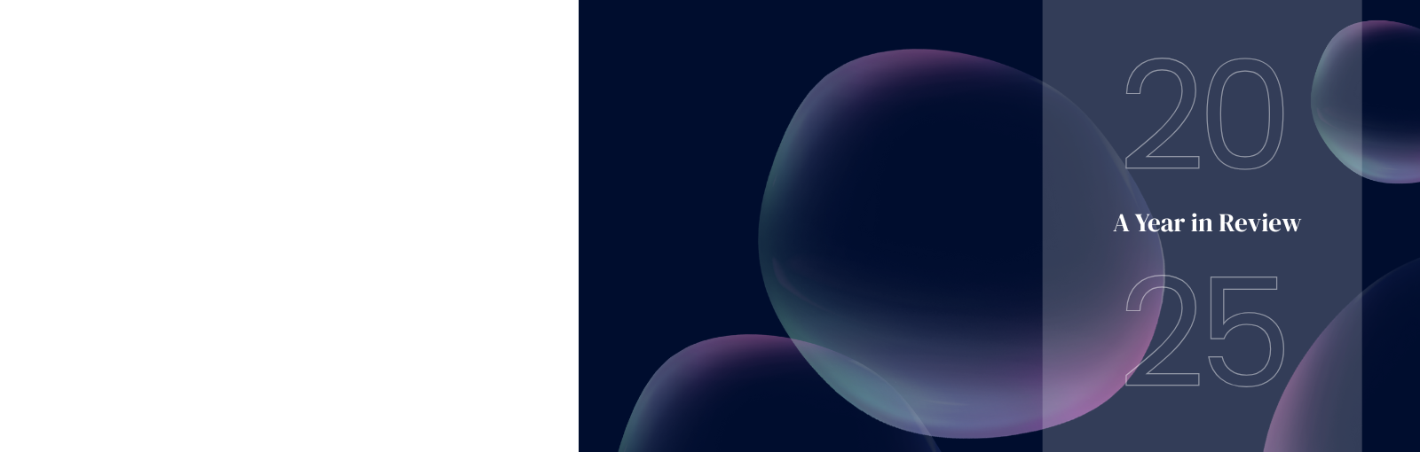 Umbraco web slider main