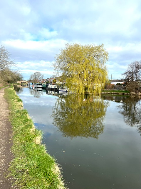 a lake on a sunny day 